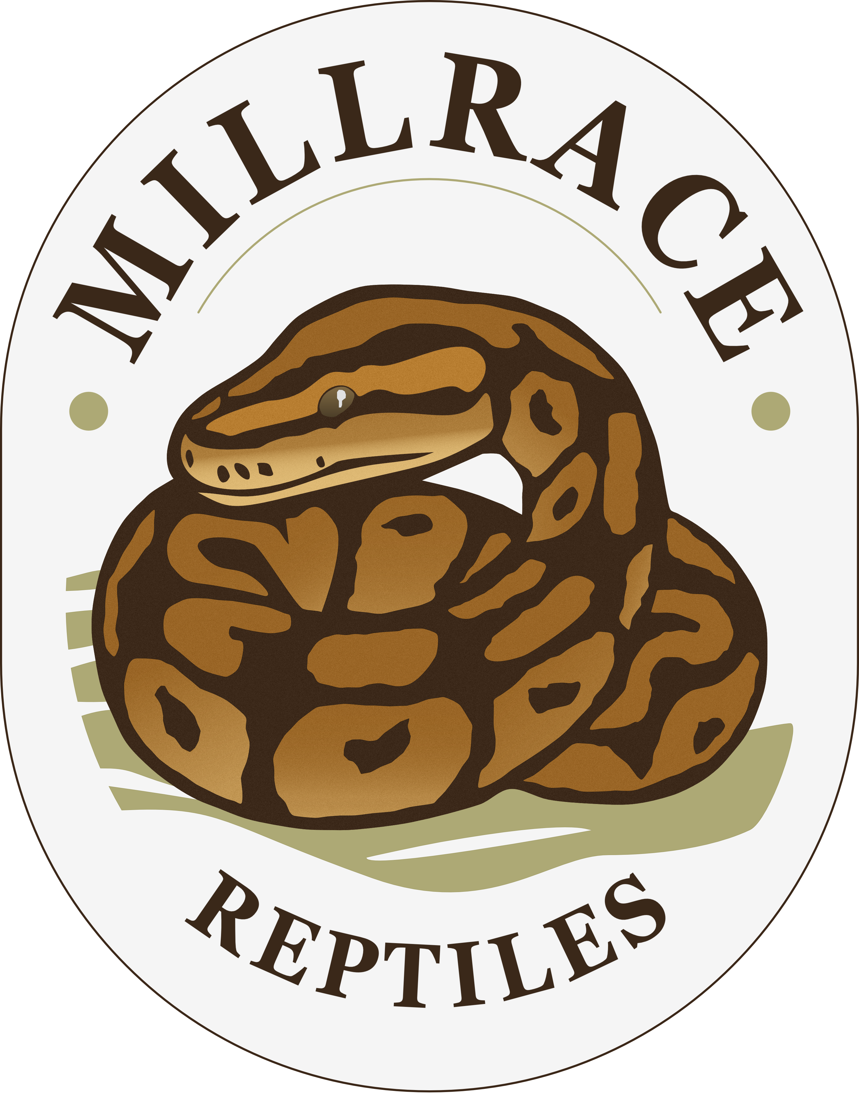 Mill Race Reptiles